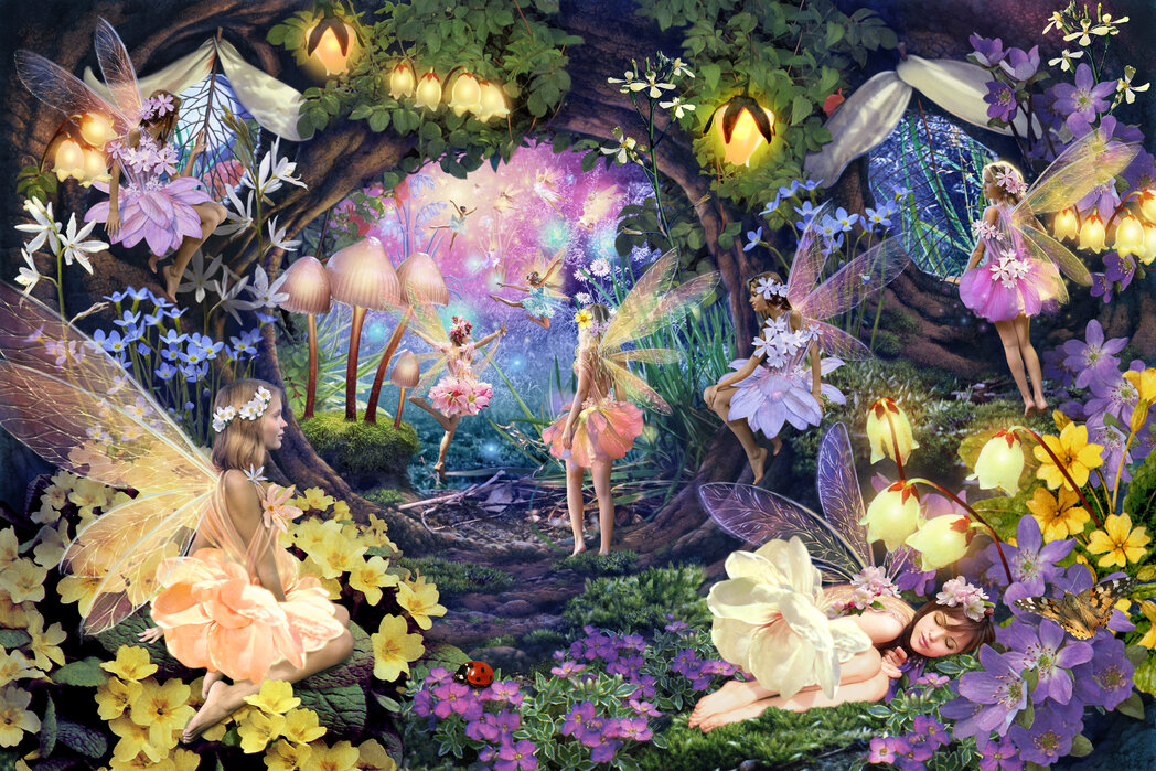 Magical fairy forest